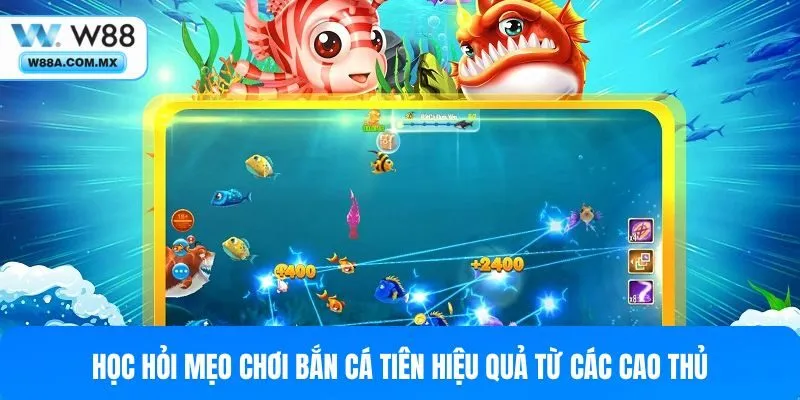 Học hỏi mẹo chơi bắn cá tiên hiệu quả từ các cao thủ