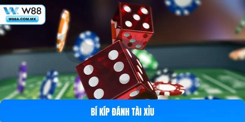 Bí kíp lắc xí ngầu sẽ tăng khả năng dự đoán chính xác