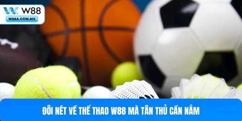 Những nét cơ bản về thể thao W88 mà cược thủ cần biết