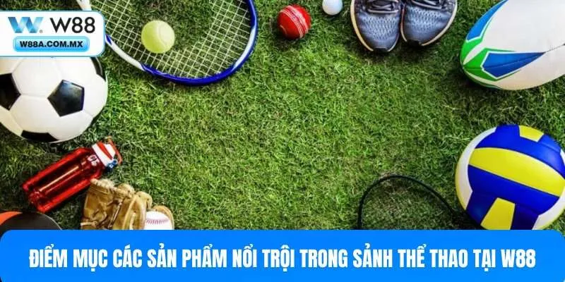 Top bộ môn thể thao W88 được ưa chuộng