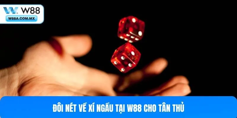 Những nét cơ bản về Xí Ngầu tại W88