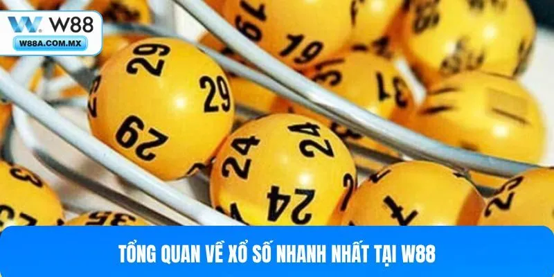 Những nét cơ bản về xổ số nhanh nhất tại W88